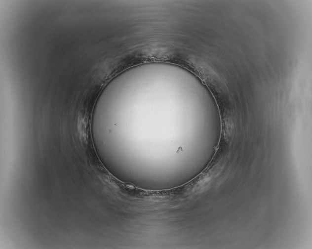 X0000111881010200907301133