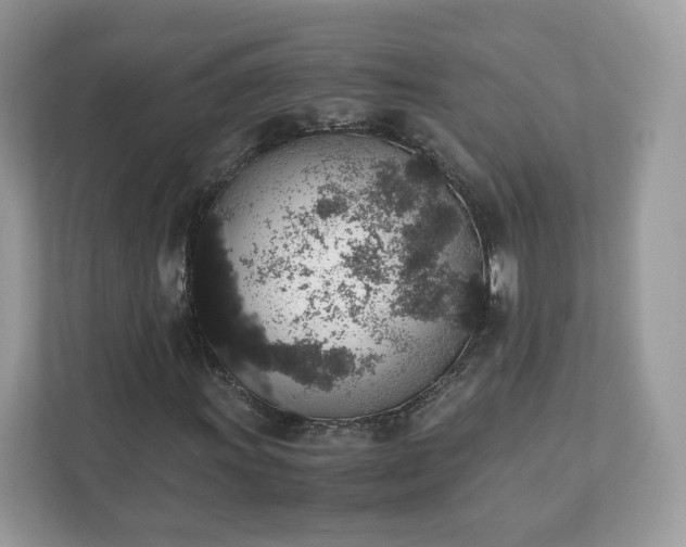 X0000111881011200907301133