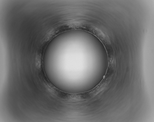 X0000111881012200907301133