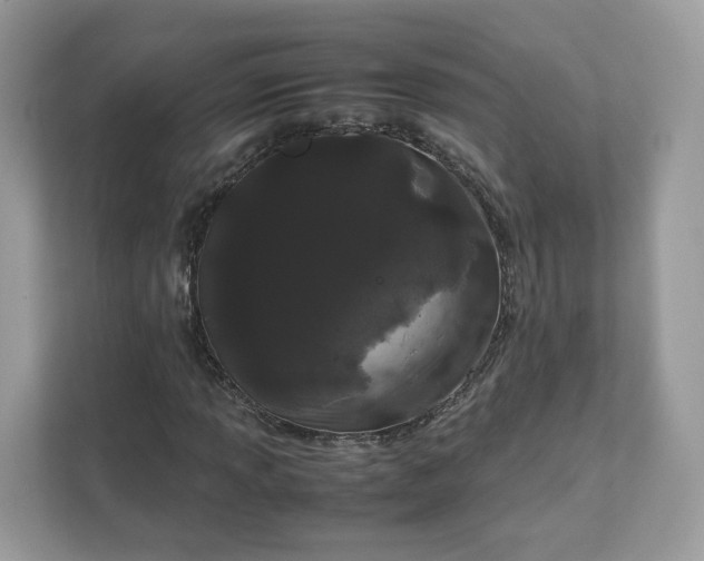 X0000111881013200907301133