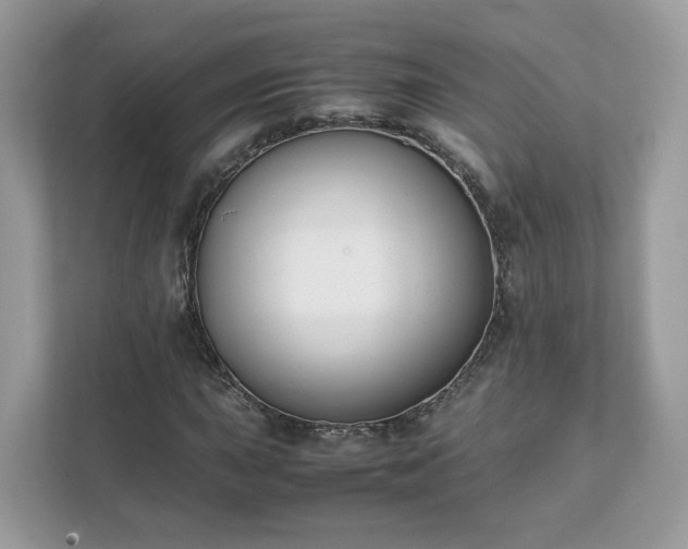 X0000111881015200907301133