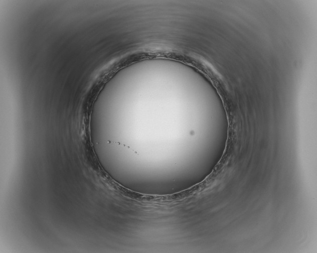 X0000111881016200907301133