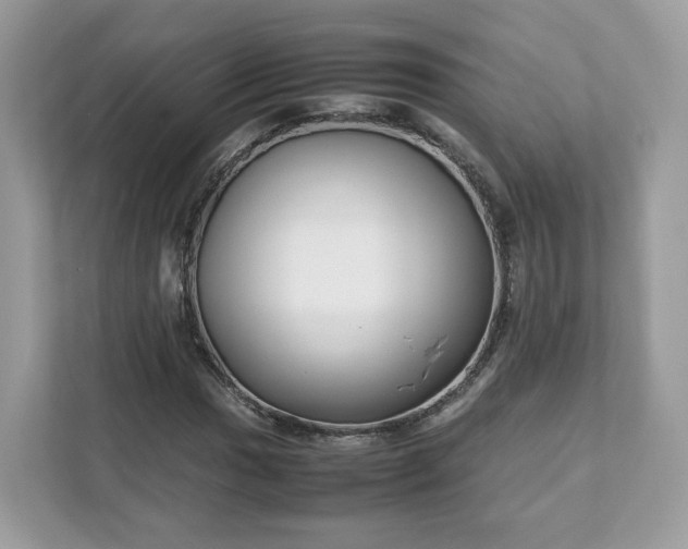 X0000111881017200907301133
