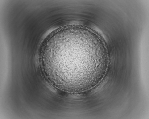 X0000111881019200907301133