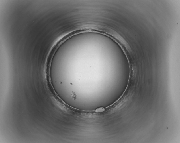 X0000111881020200907301133