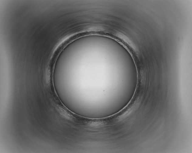 X0000111881021200907301133