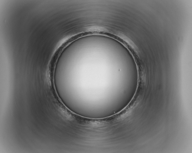 X0000111881022200907301133
