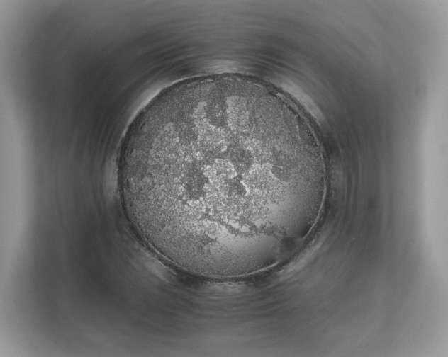 X0000111881023200907301133
