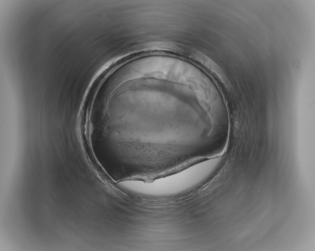 X0000111881024200907301133