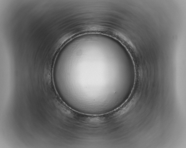 X0000111881025200907301133