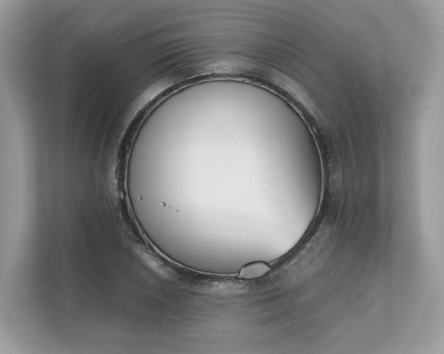 X0000111881026200907301133