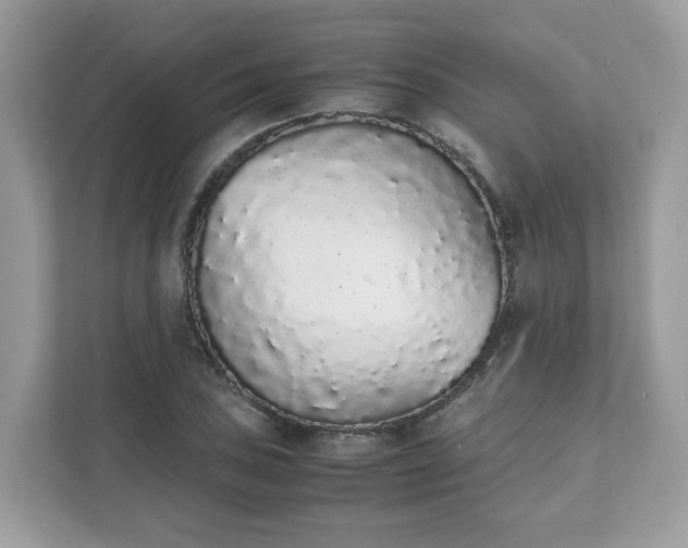 X0000111881027200907301133
