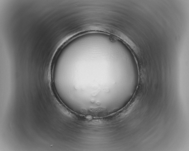 X0000111881028200907301133