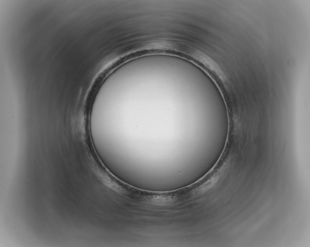 X0000111881029200907301133