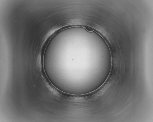 X0000111881030200907301133