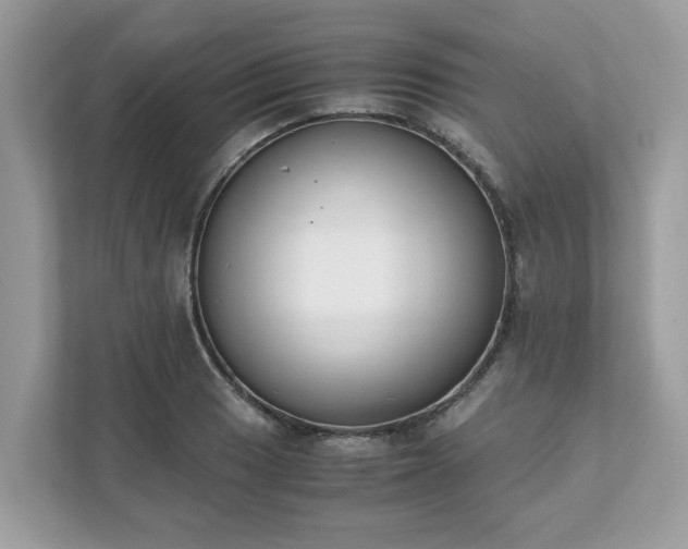 X0000111881033200907301133