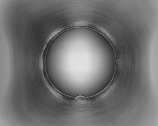 X0000111881034200907301133