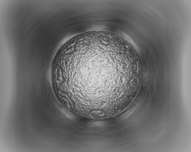 X0000111881035200907301133