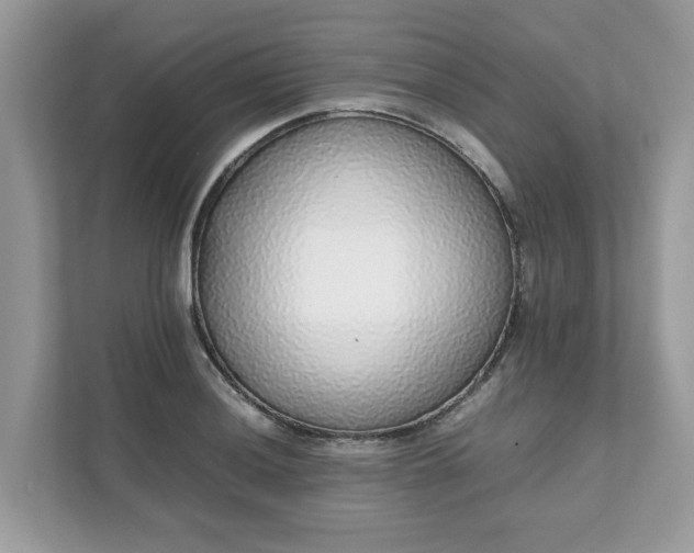 X0000111881036200907301133