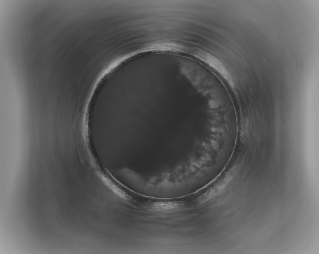 X0000111881037200907301133