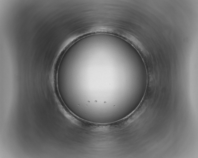 X0000111881038200907301133