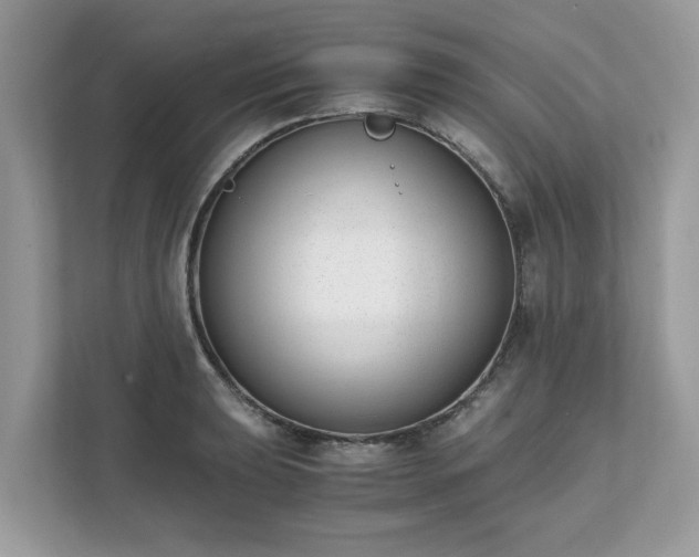 X0000111881039200907301133