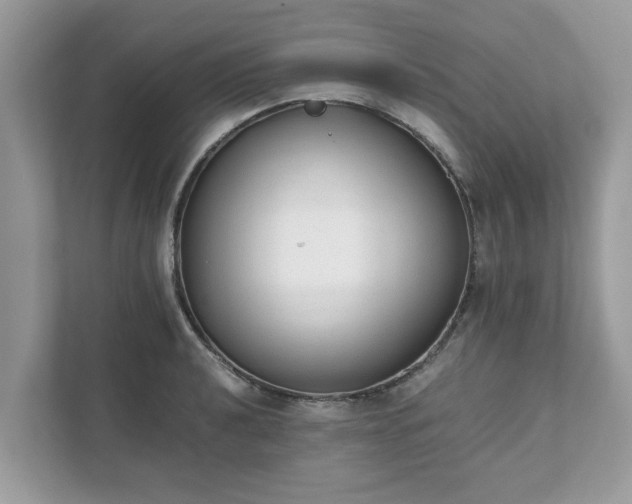 X0000111881040200907301133