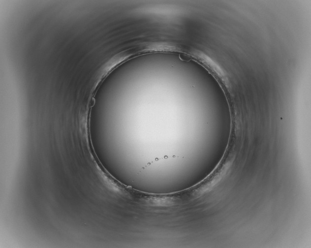 X0000111881041200907301133