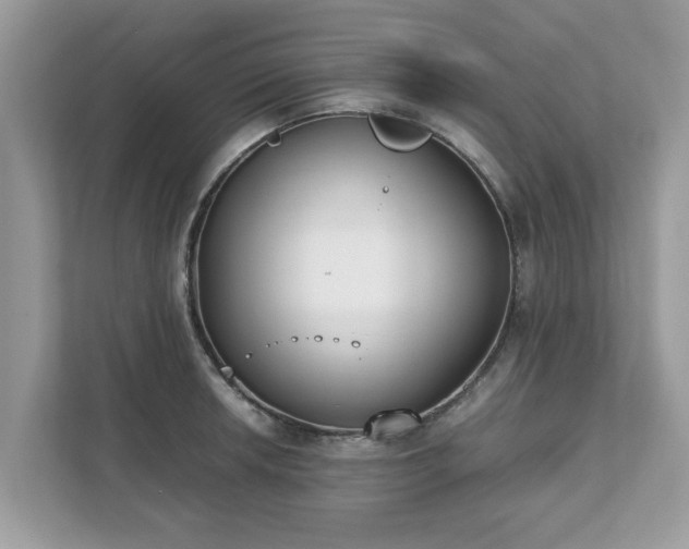 X0000111881042200907301133