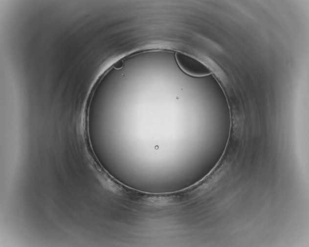 X0000111881044200907301133