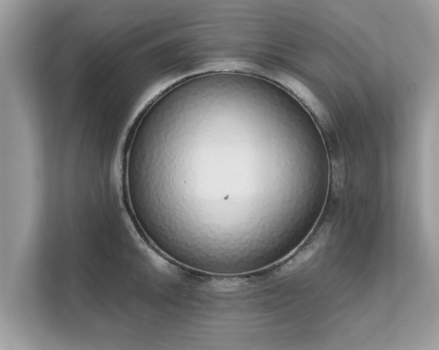 X0000111881046200907301133