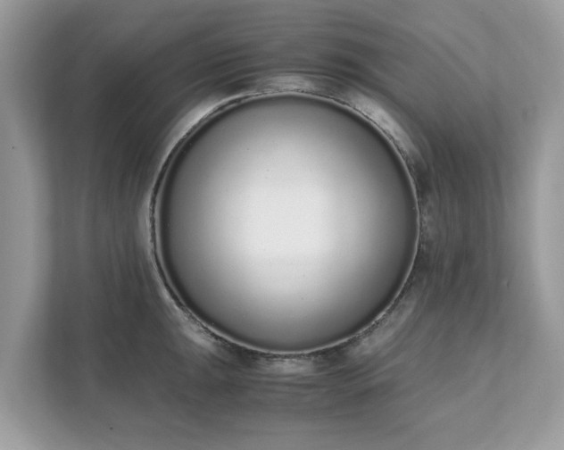 X0000111881047200907301133