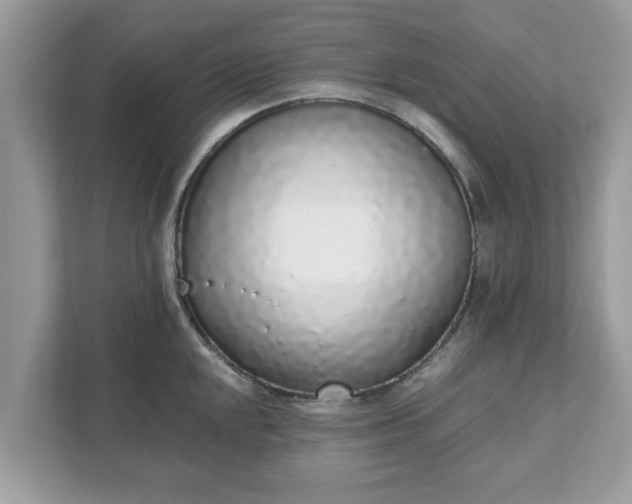 X0000111881048200907301133