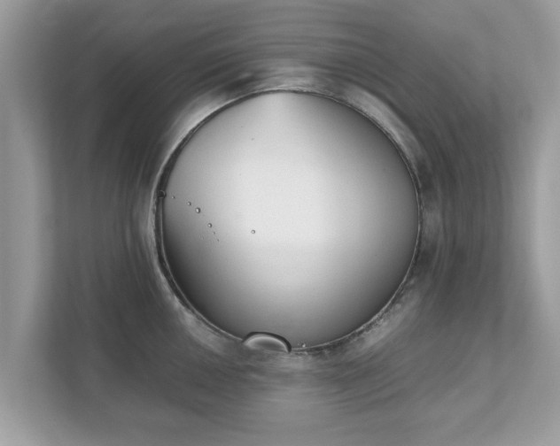 X0000111881050200907301133