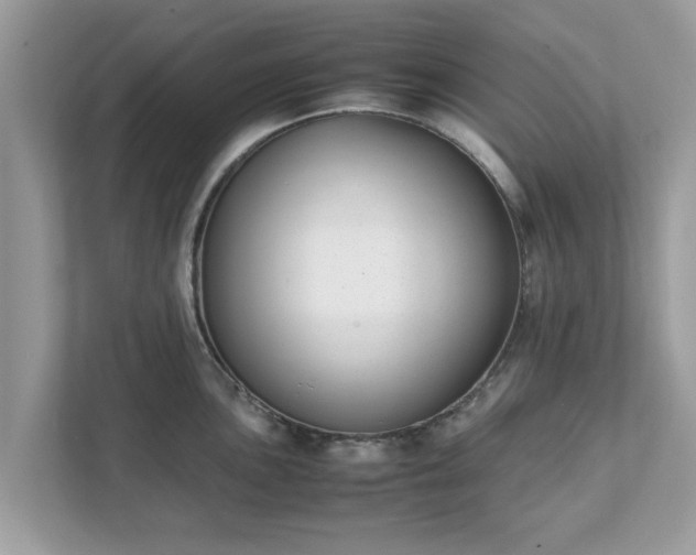 X0000111881051200907301133