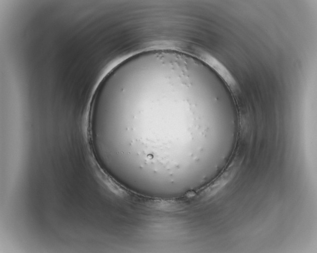 X0000111881052200907301133