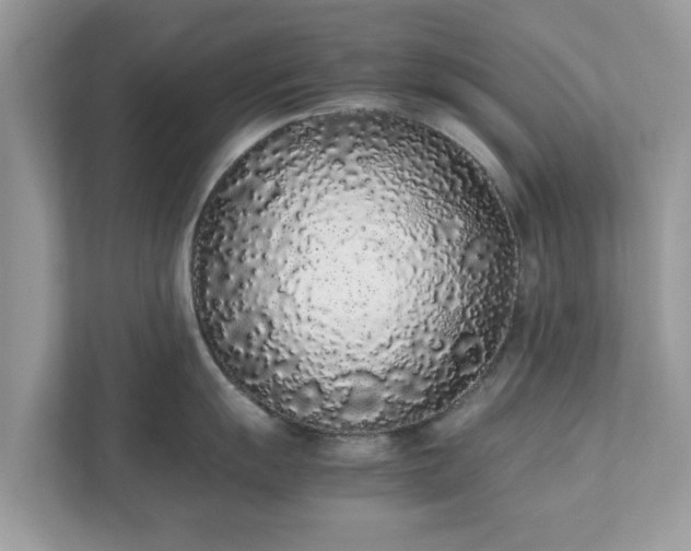 X0000111881055200907301133