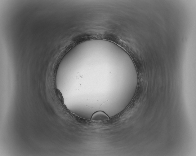 X0000111881057200907301133