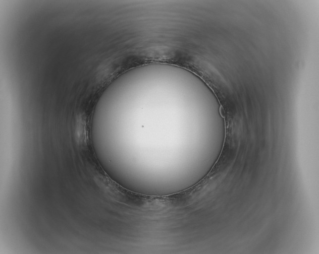 X0000111881058200907301132