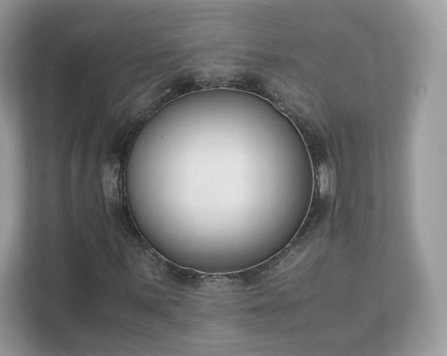 X0000111881059200907301132
