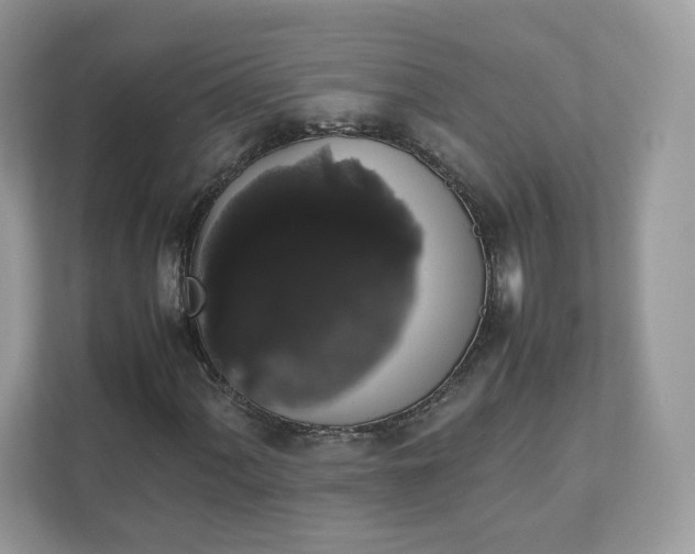 X0000111881060200907301132