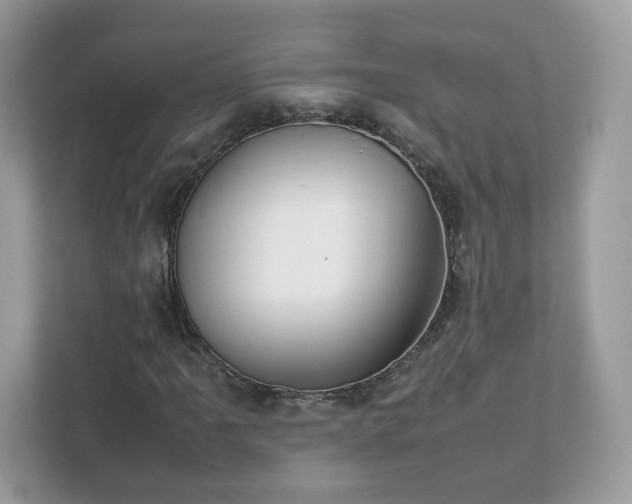 X0000111881061200907301132