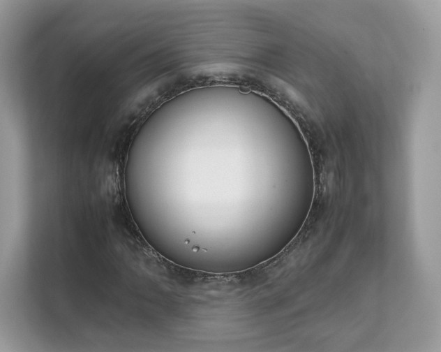 X0000111881062200907301132