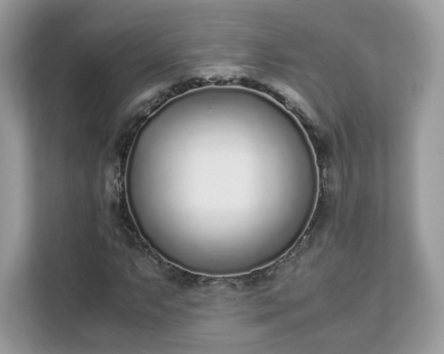 X0000111881063200907301132