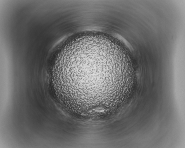 X0000111881064200907301132