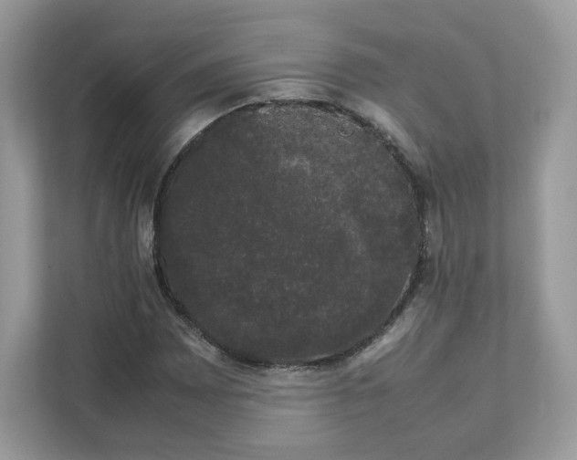X0000111881065200907301132