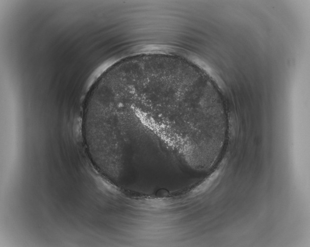 X0000111881066200907301132