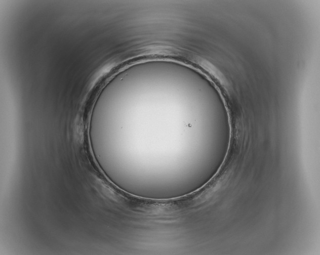 X0000111881067200907301132