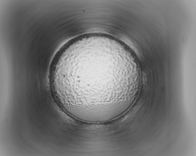 X0000111881068200907301132