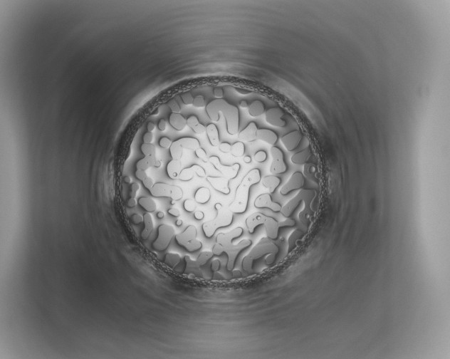 X0000111881069200907301132